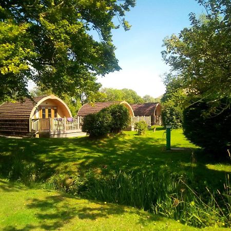 Campsie Glen Holiday Park Fintry ภายนอก รูปภาพ