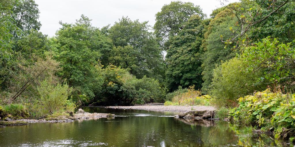 Campsie Glen Holiday Park Fintry ภายนอก รูปภาพ